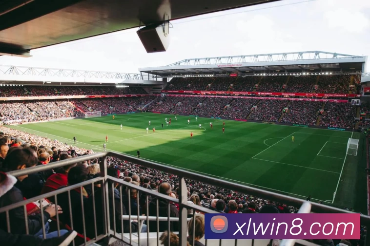 多媒体互动体验